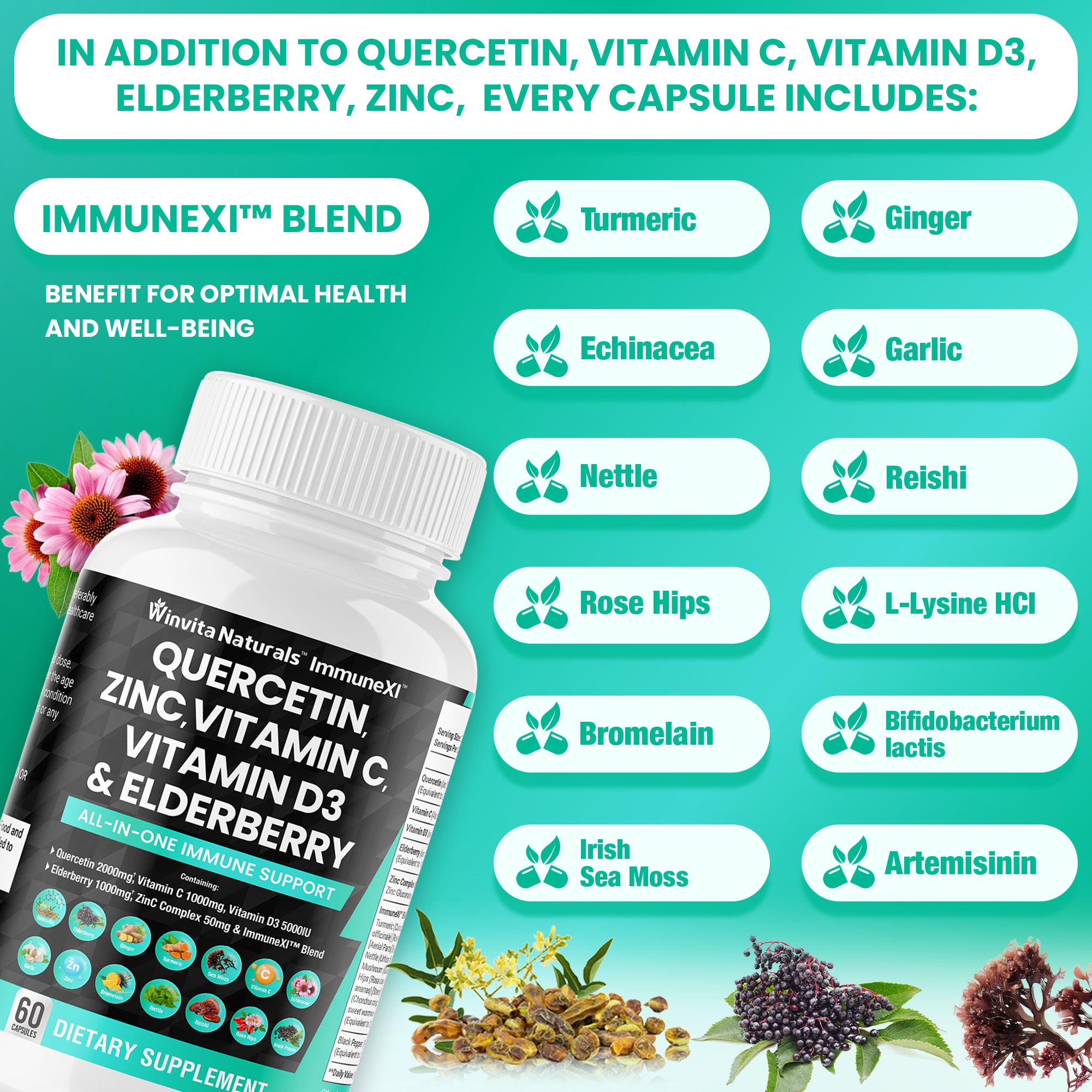 Quercetin 2000mg Zinc 50mg Vitamin C 1000mg Vitamin D3 5000IU - Immune System Support Supplement with Echinacea Ginger Bromelain Sea Moss Garlic Nettle Vegan Capsules USA