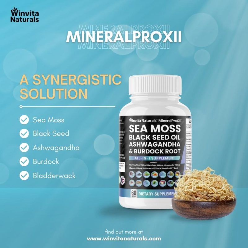 A bottle of Winvita Naturals' all-in-one dietary supplement, with key ingredients listed such as Sea Moss, Black Seed, Ashwagandha, Burdock, and Bladderwrack, displayed against a calm blue background with a wooden bowl of sea moss on the side.