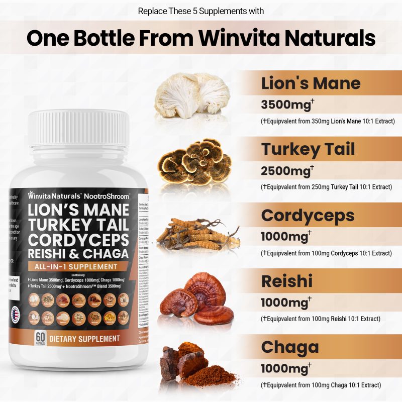 An image featuring a bottle of Winvita Naturals' dietary supplement surrounded by illustrations of mushrooms and text detailing the inclusion of Lion's Mane, Turkey Tail, Cordyceps, Reishi, and Chaga extracts equivalent to higher doses, suggesting the product's potency and comprehensive nature.