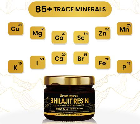 A jar of Winvita Naturals' Shilajit Resin prominently displayed, boasting 85+ trace minerals in a 600 mg serving. Surrounding the jar are golden icons representing various trace elements like Copper (Cu), Magnesium (Mg), Cobalt (Co), Selenium (Se), and others, emphasizing the product's rich mineral content.