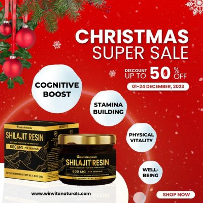 Christmas promotional image featuring two jars of Winvita Naturals Shilajit Resin with 'CHRISTMAS SUPER SALE' text, highlighted benefits like 'COGNITIVE BOOST' and 'STAMINA BUILDING', against a festive red background with snowflakes and holiday decorations.